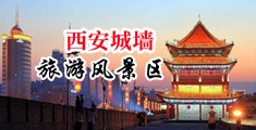 欲女插入内射中国陕西-西安城墙旅游风景区